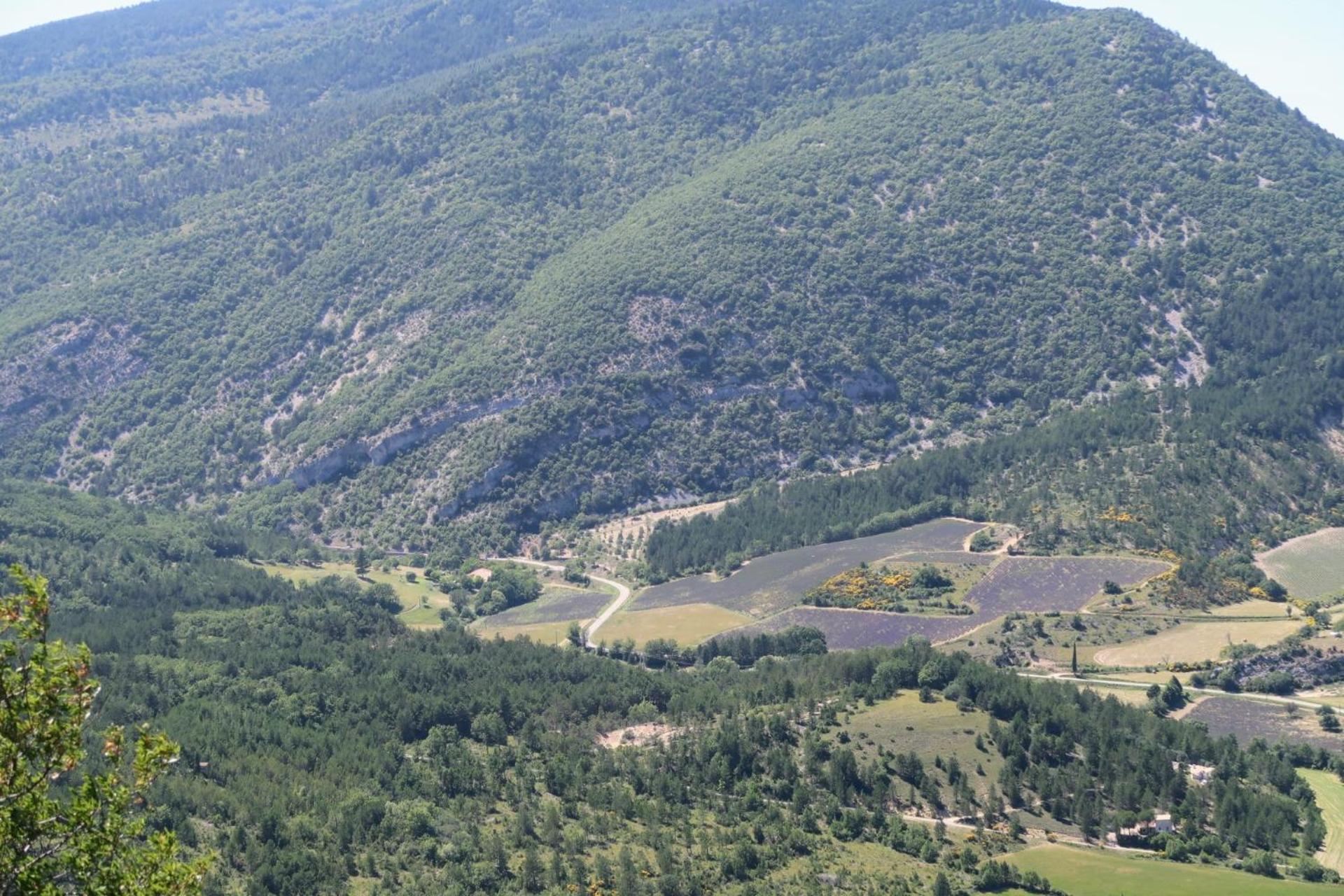 La Terrasse D'Olea, Au Coeur Du Village Buis-les-Baronnies Dış mekan fotoğraf